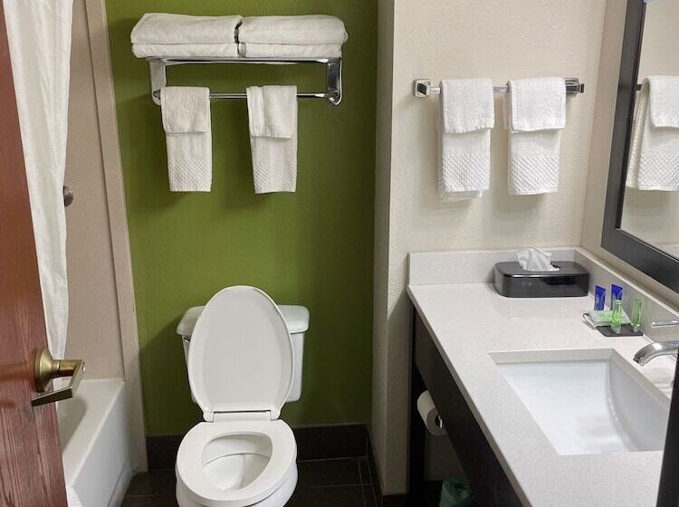 Номер Стандарт 2 Двуспальные Кровати, Sleep Inn & Suites Near Sports World Blvd