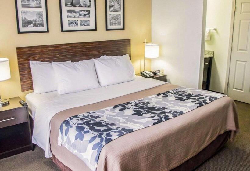 Номер Стандарт Адаптированный для Инвалидов, Sleep Inn Tinley Park I80 Near Amphitheatreconvention Center