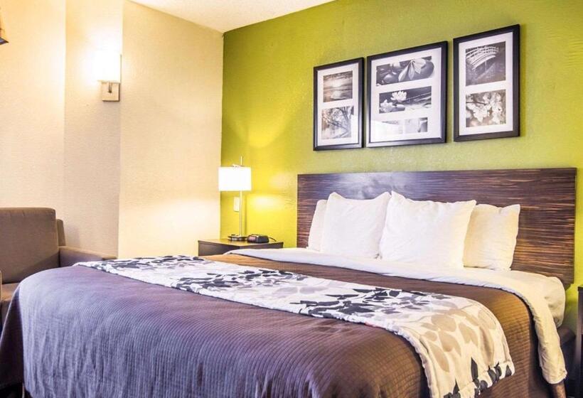 Номер Стандарт Адаптированный для Инвалидов, Sleep Inn Walterboro I95