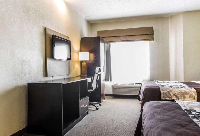 Номер Стандарт 2 Двуспальные Кровати, Sleep Inn Walterboro I95