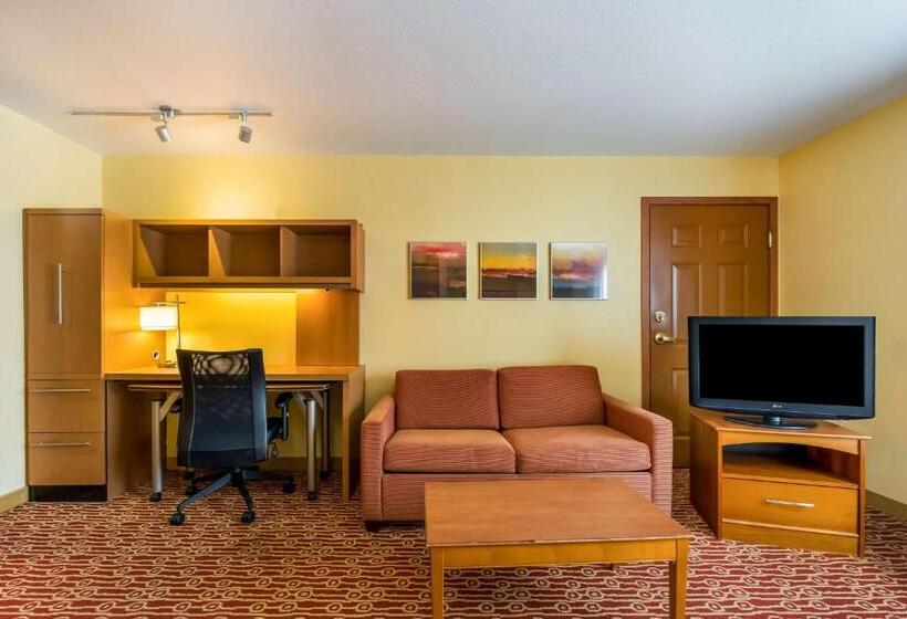 Студия Стандарт Кровать Куин, Sonesta Simply Suites Detroit Novi
