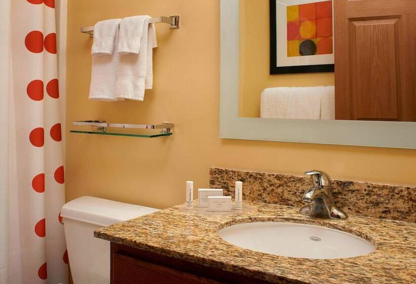 Люкс Адаптированный для Инвалидов, Sonesta Simply Suites Detroit Novi