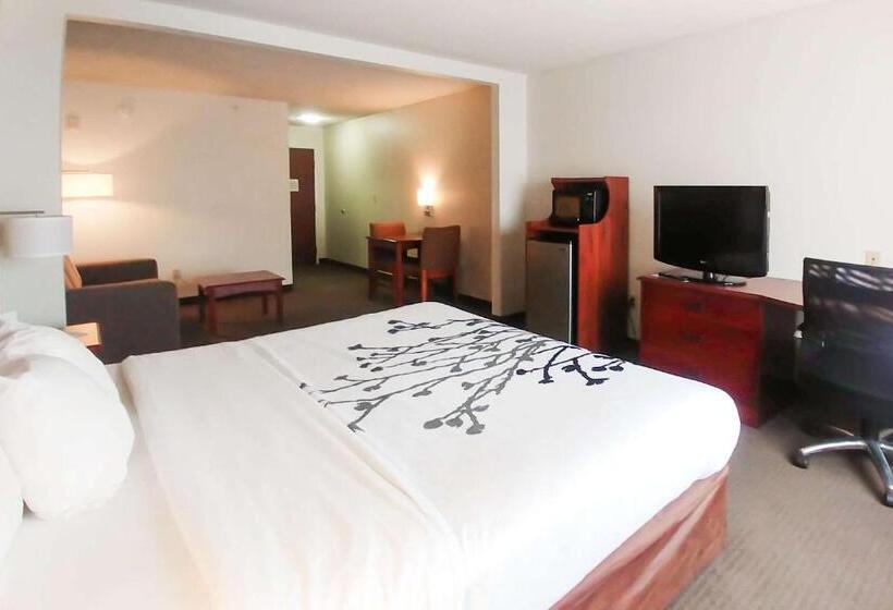Номер Стандарт, Wingate By Wyndham Dublin Near Claytor Lake State Park