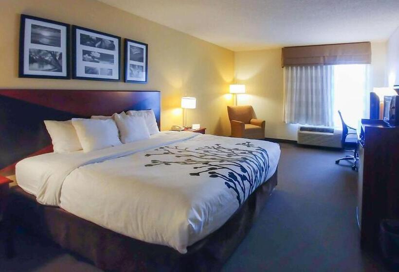 Номер Стандарт Кровать Кинг Адаптированный для Инвалидов, Wingate By Wyndham Dublin Near Claytor Lake State Park