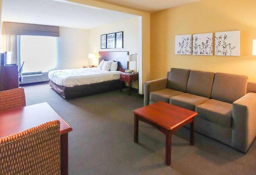 Люкс Deluxe Кровать Кинг, Wingate By Wyndham Dublin Near Claytor Lake State Park
