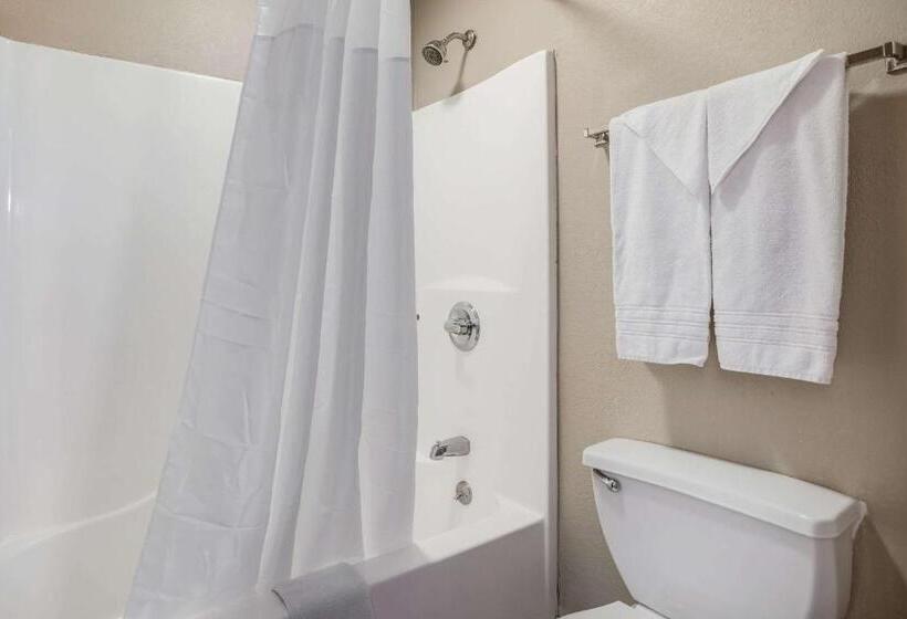 스위트 킹사이즈 침대, Quality Inn Calvert City  Paducah East