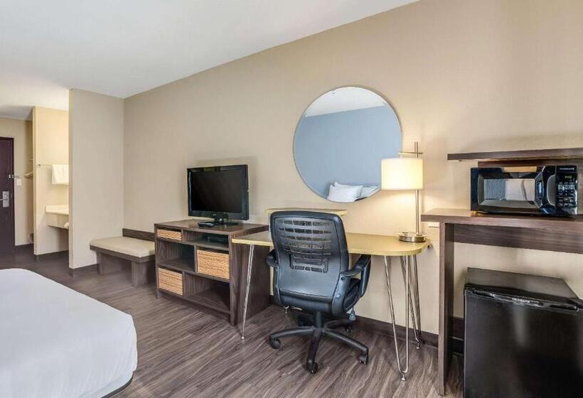 장애인을 위한 스탠다드 룸, Quality Inn Calvert City  Paducah East