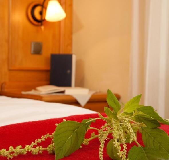 Номер Стандарт Индивидуальный, Landhotel Bayerwald