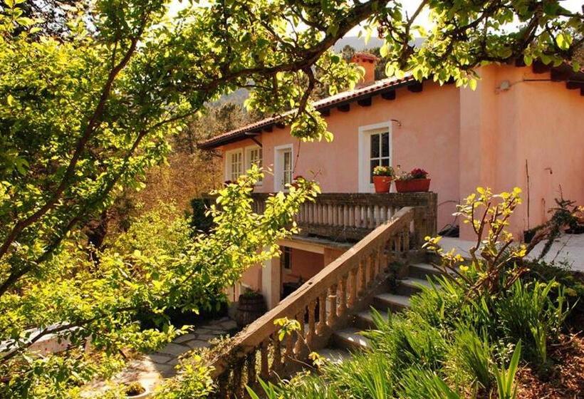 Студио Стандарт с Террасой, Agriturismo Di Charme E Ristorante Stallato Il Filo Di Paglia