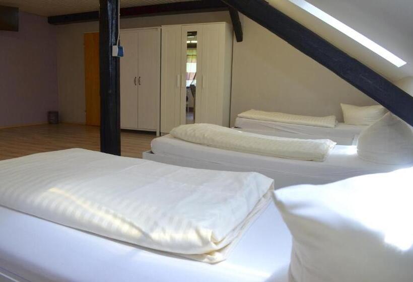 Апартаменты 1 Спальня Вид на Сад, Gästehaus Zimmer Frei