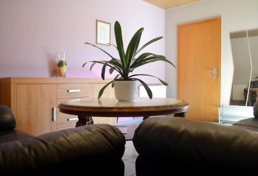 Апартаменты 1 Спальня Нижний Этаж, Gästehaus Zimmer Frei
