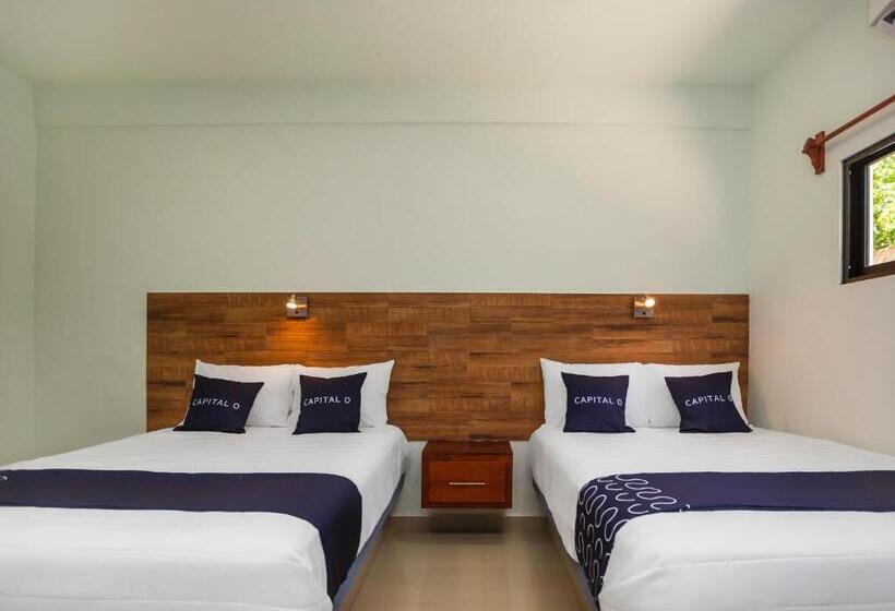 Habitación Estándar, Pejelagarto