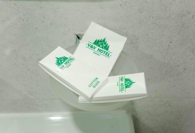 חדר משפחתי נוף להרים, V&v