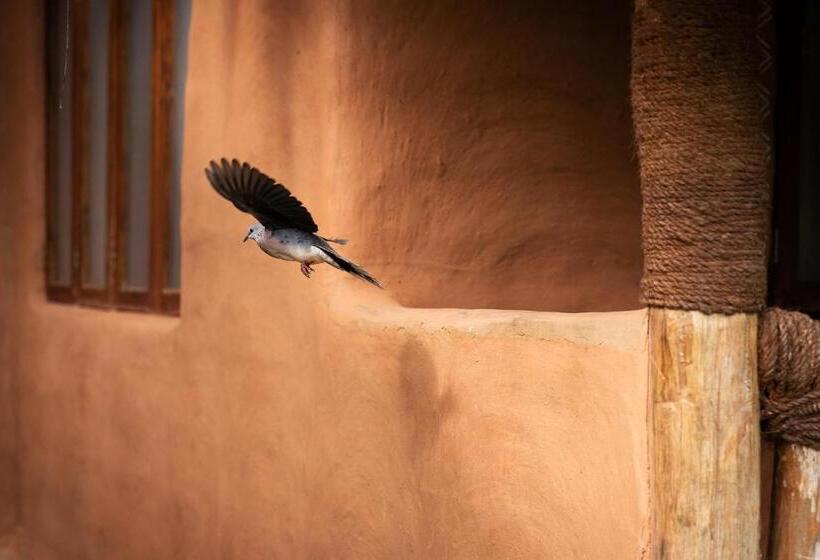 سوییت خانوادگی, The Mudhouse Marayoor