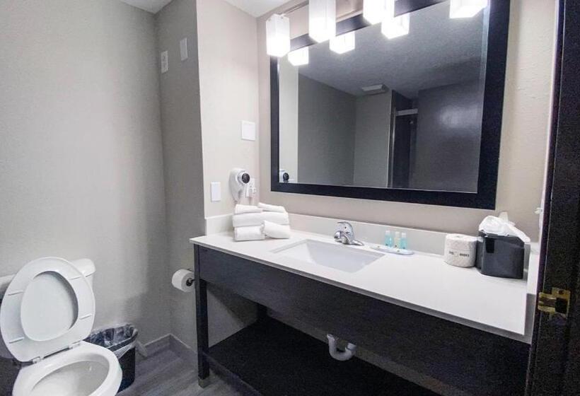 Номер Стандарт 2 Двуспальные Кровати, Quality Inn Roseville Detroit North