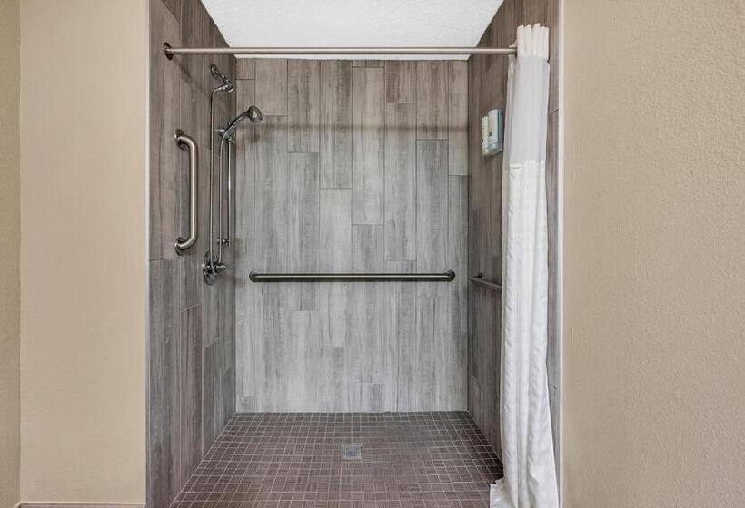 Номер Стандарт Адаптированный для Инвалидов, Quality Inn Roseville Detroit North