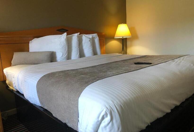 Стандартный Номер Кровать Кинг, Budget Inn Timmonsville