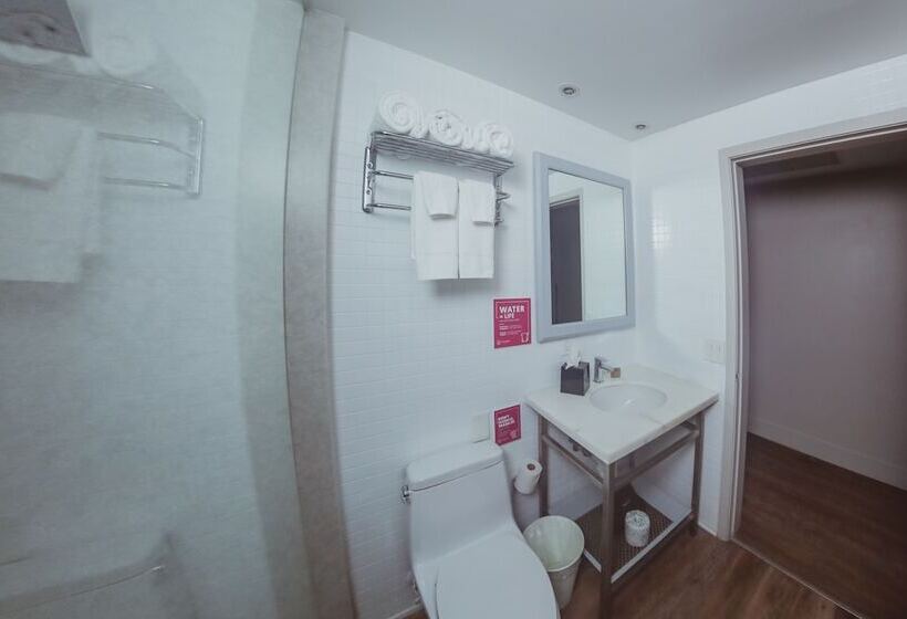 豪华房间, Viajero Miami
