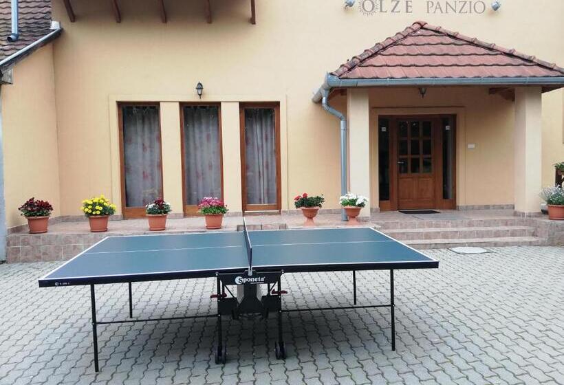 Номер Стандарт, Olze Panzió