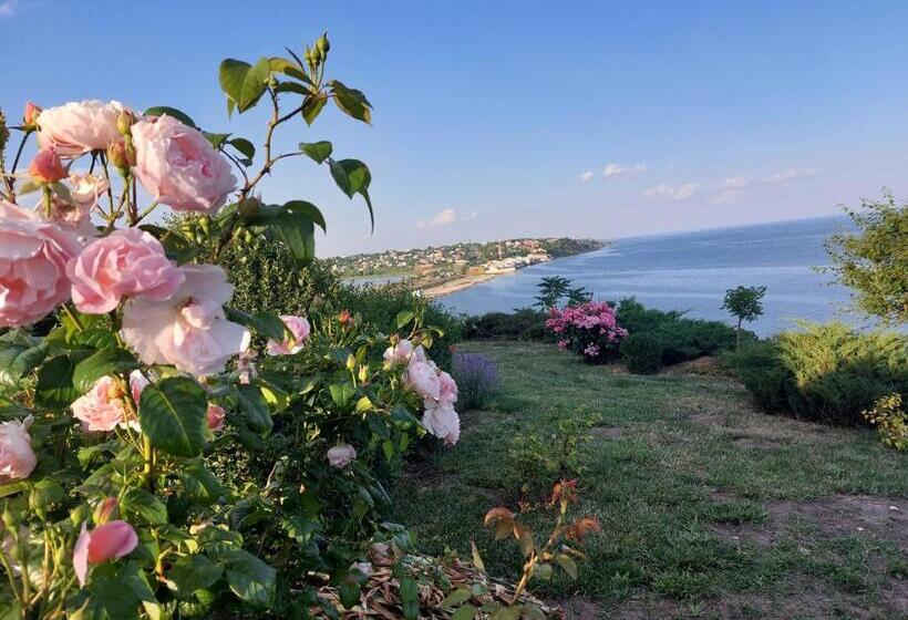 수피리어 테라스 룸, Villa Lavanda