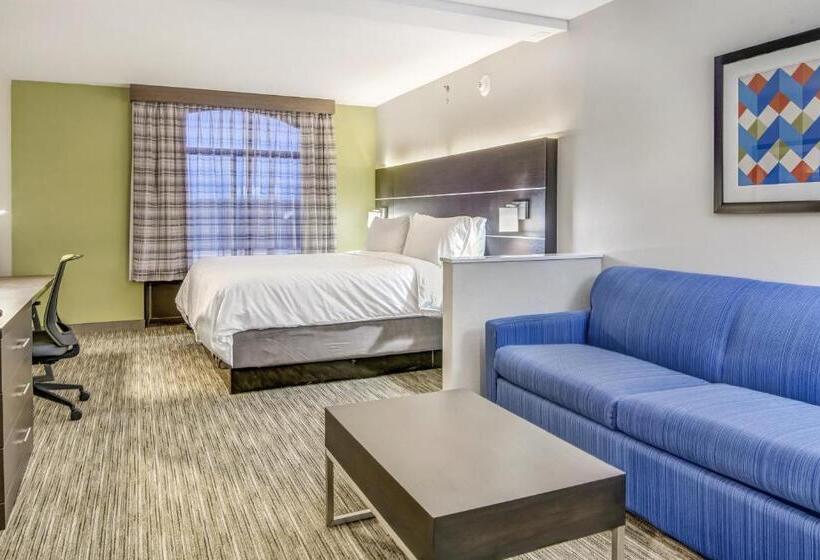 Люкс Адаптированный для Инвалидов, Holiday Inn Express & Suites Longview North, An Ihg
