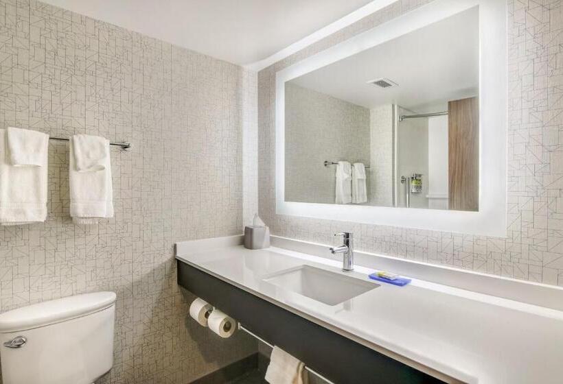 Люкс Кровать Кинг, Holiday Inn Express & Suites Longview North, An Ihg