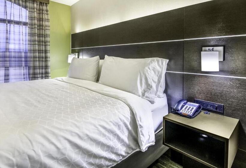 Люкс Кровать Кинг, Holiday Inn Express & Suites Longview North, An Ihg