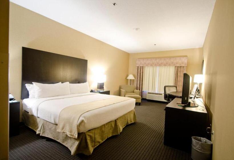 Номер Executive Кровать Кинг, Holiday Inn St. Paul Northeast   Lake Elmo, An Ihg