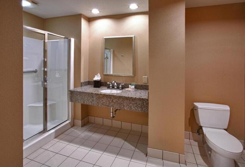 Номер Стандарт, Holiday Inn St. Paul Northeast   Lake Elmo, An Ihg