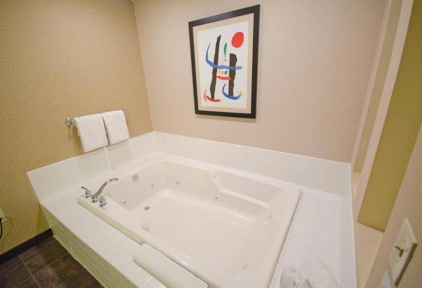 Люкс Кровать Кинг, Holiday Inn St. Paul Northeast   Lake Elmo, An Ihg