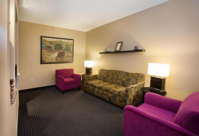 Люкс Executive Кровать Кинг, Holiday Inn St. Paul Northeast   Lake Elmo, An Ihg