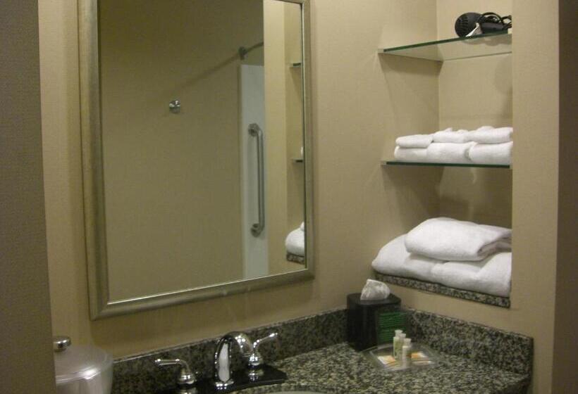 Номер Стандарт Адаптированный для Инвалидов, Holiday Inn St. Paul Northeast   Lake Elmo, An Ihg