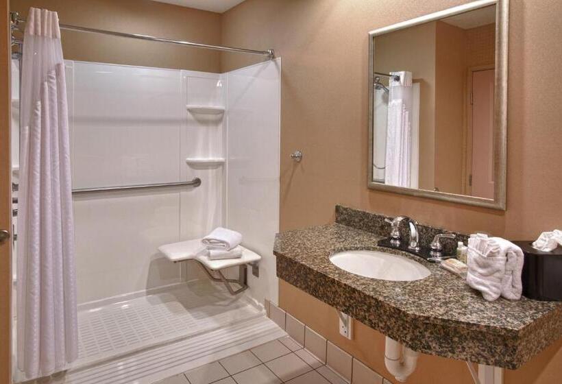 Номер Стандарт Кровать Кинг Адаптированный для Инвалидов, Holiday Inn St. Paul Northeast   Lake Elmo, An Ihg