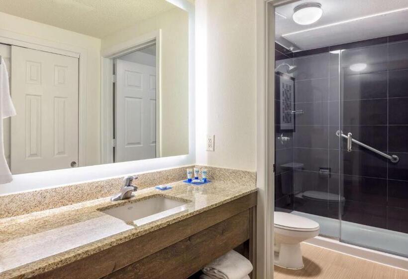 Suite Lit King, Hyatt House Houston Galleria