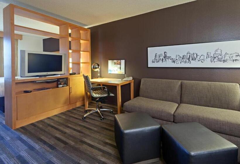 Studio Standard Lit King Size, Hyatt House Houston Galleria