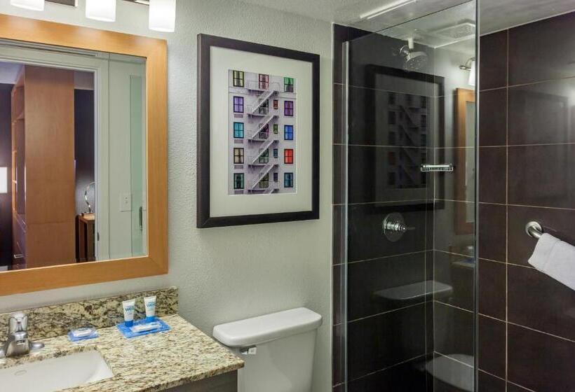 Studio Standard Lit King Size, Hyatt House Houston Galleria