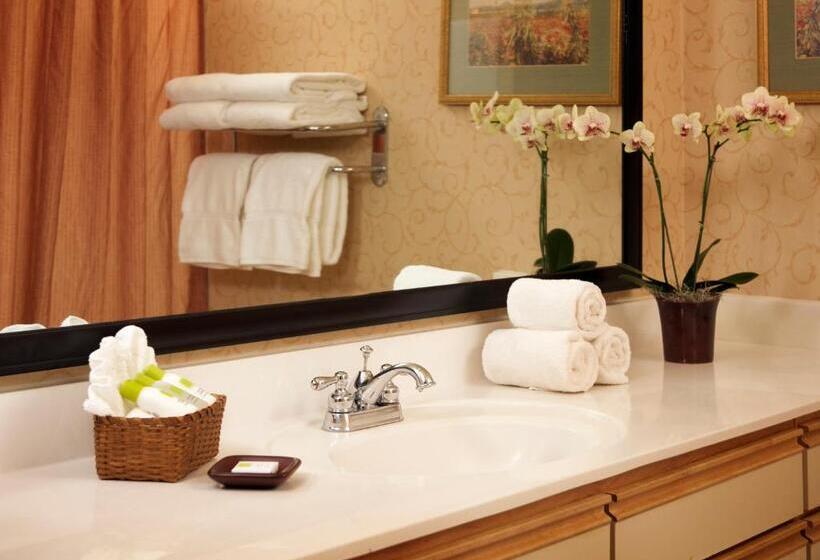 家庭套房, Larkspur Landing Extended Stay Suites Campbell