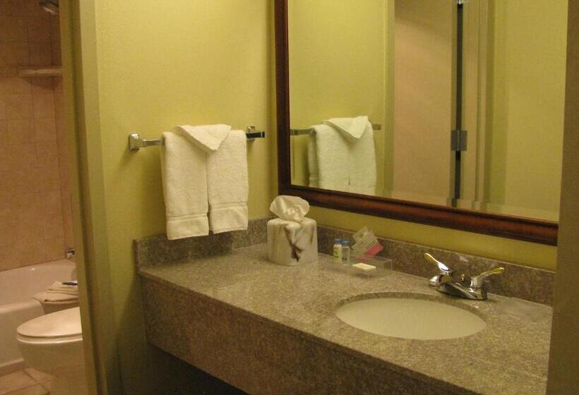 Номер Стандарт, Clarion Inn Idaho Falls Riverfront