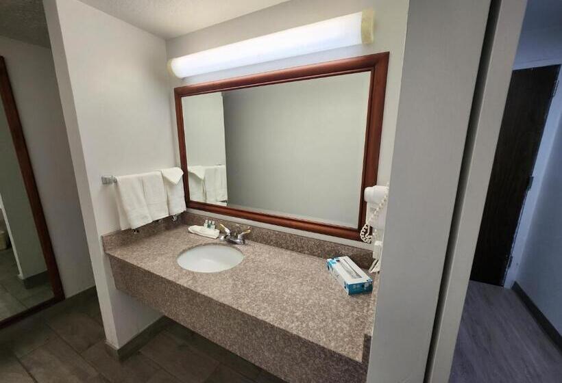 Стандартный Номер Кровать Кинг, Clarion Inn Idaho Falls Riverfront