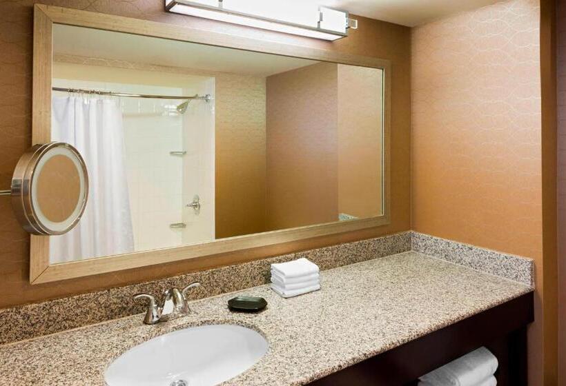 Номер Стандарт Кровать Кинг Адаптированный для Инвалидов, Sheraton Hotel Metairie New Orleans