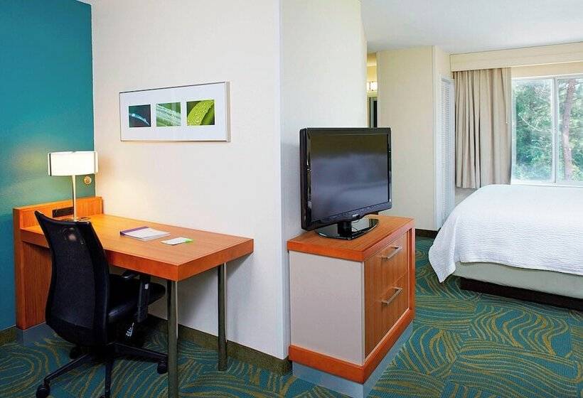 스위트, Springhill Suites By Marriott Atlanta Six Flags