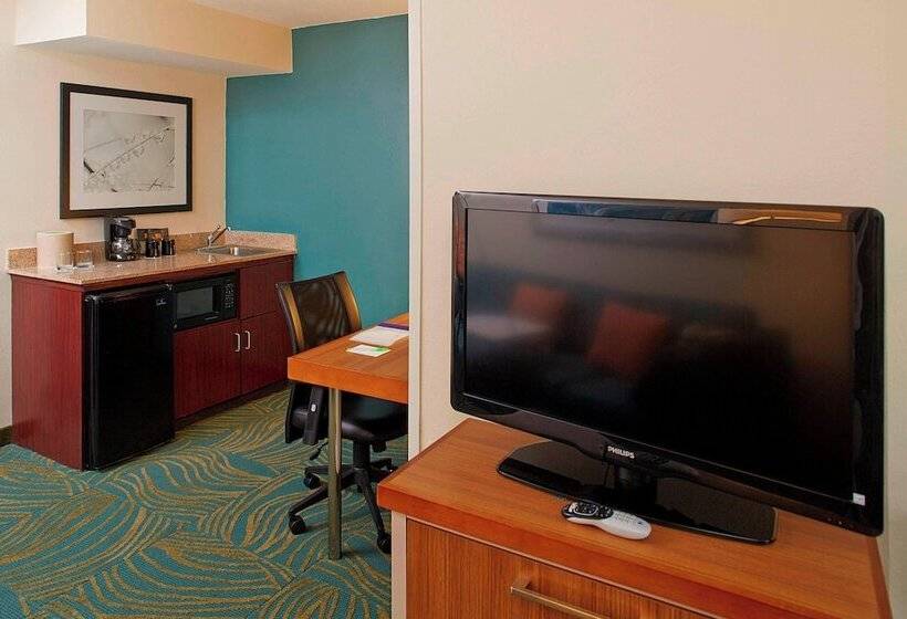 장애인을 위한 스위트, Springhill Suites By Marriott Atlanta Six Flags