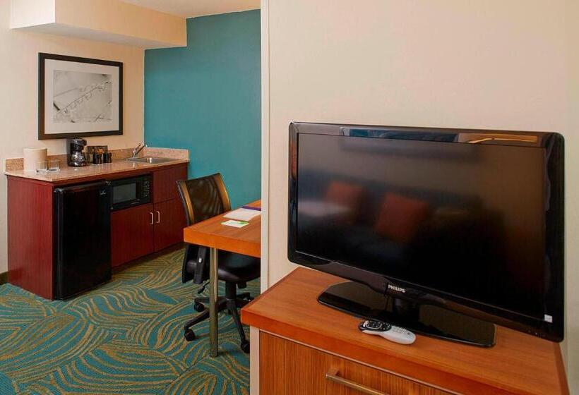 스위트 킹사이즈 침대, Springhill Suites By Marriott Atlanta Six Flags