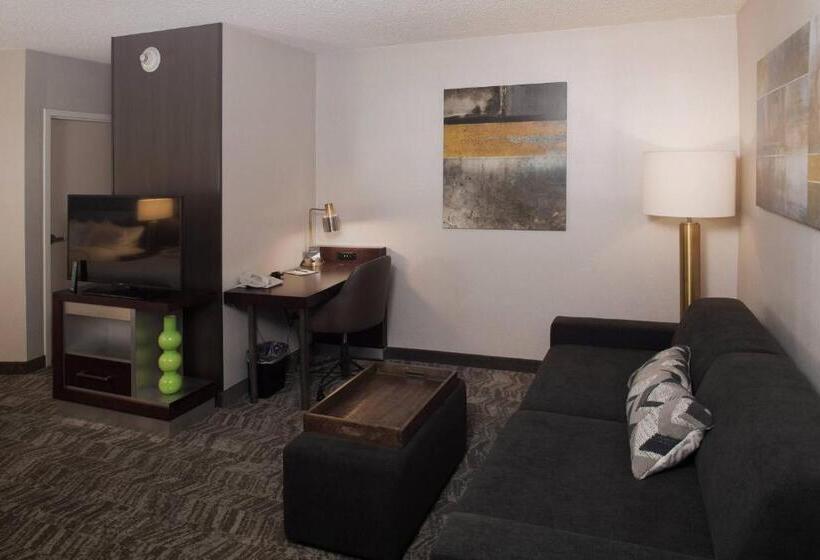 스위트, Springhill Suites By Marriott Billings