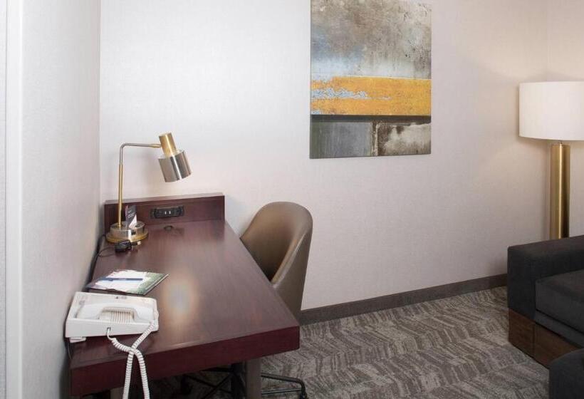 스위트 킹사이즈 침대, Springhill Suites By Marriott Billings