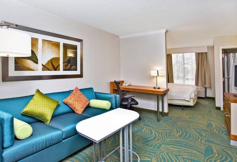 Suite Executiva, Springhill Suites By Marriott Chicago Southwest At Burr Ridge Hinsdale