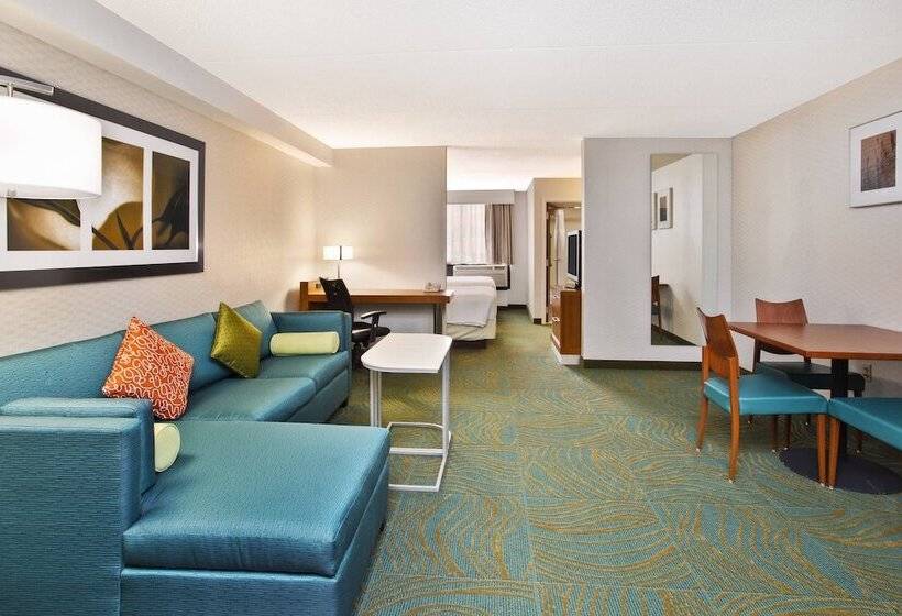 Suite Executiva, Springhill Suites By Marriott Chicago Southwest At Burr Ridge Hinsdale