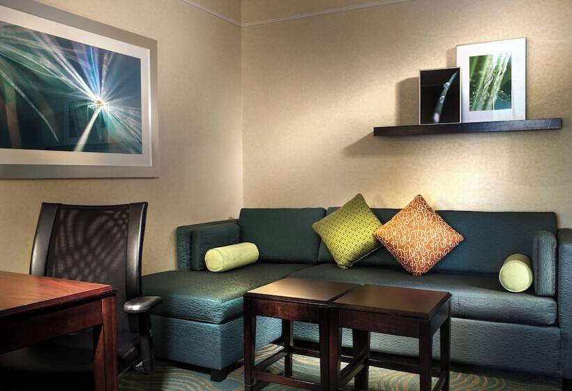 스위트, Springhill Suites Dallas Dfw Airport North/grapevine