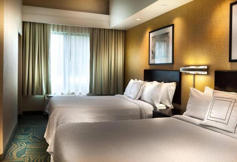 스위트, Springhill Suites Dallas Dfw Airport North/grapevine