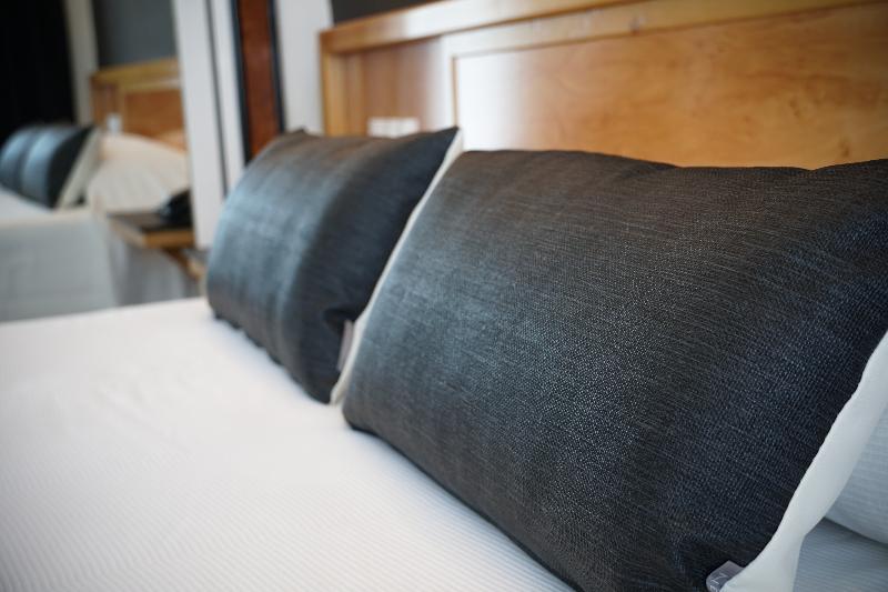 스위트 킹사이즈 침대, Springhill Suites Dallas Dfw Airport North/grapevine